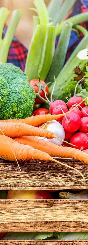 ...tout au long de l'année dans le cadrede la convivialité de la ferme