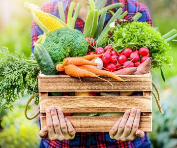 Vente de légumes de saison